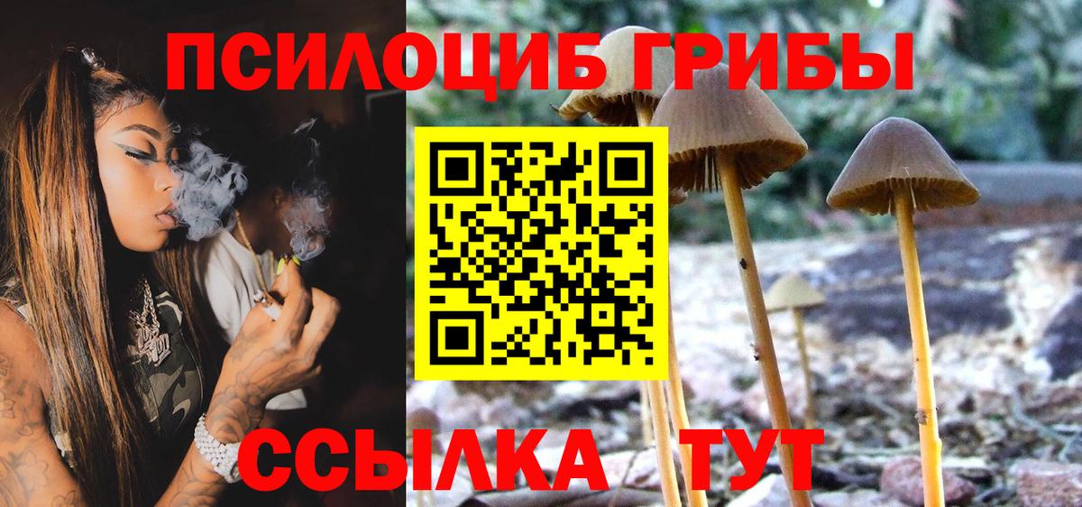 Псилоцибиновые грибы ЛСД Югорск